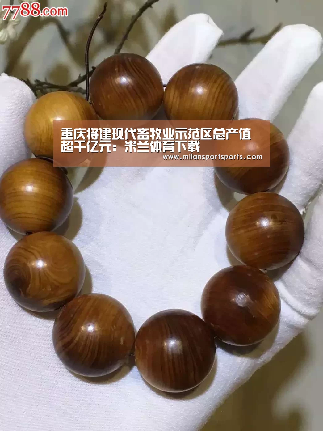 重庆将建现代畜牧业示范区总产值超千亿元:米兰体育下载(图2) 米兰体育下载官网