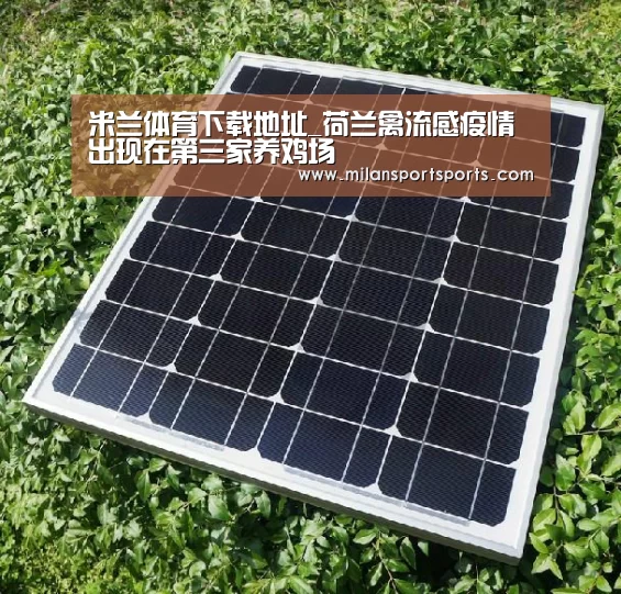 米兰体育下载官网
