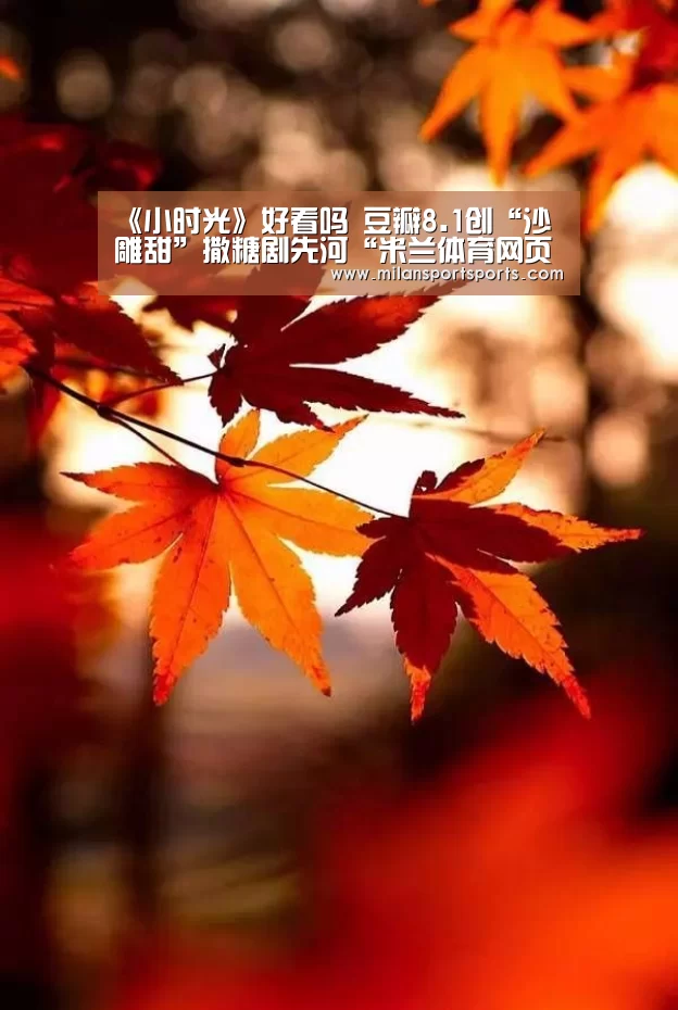 《小时光》好看吗 豆瓣8.1创“沙雕甜”撒糖剧先河“米兰体育网页版”(图2) 米兰体育下载官网