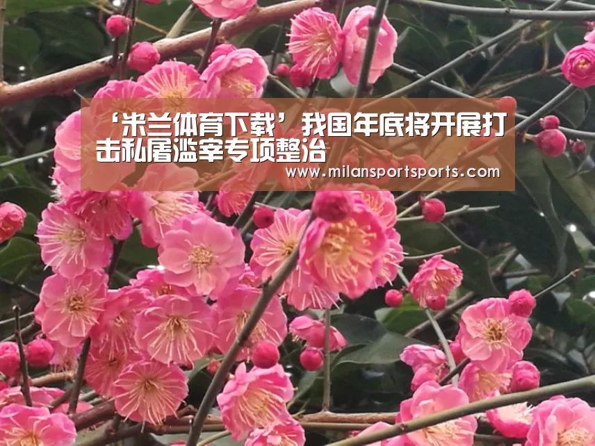 ‘米兰体育下载’我国年底将开展打击私屠滥宰专项整治(图2) 米兰体育网页版