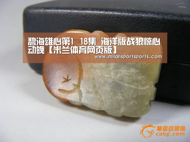 碧海雄心第1-18集 海洋版战狼惊心动魄【米兰体育网页版】(图3) 米兰体育下载