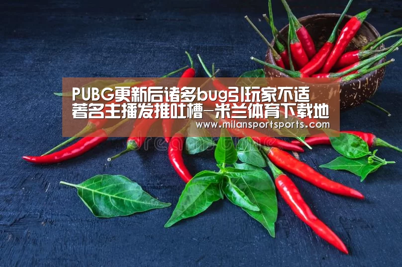 PUBG更新后诸多bug引玩家不适 著名主播发推吐槽-米兰体育下载地址(图1) 米兰体育下载地址