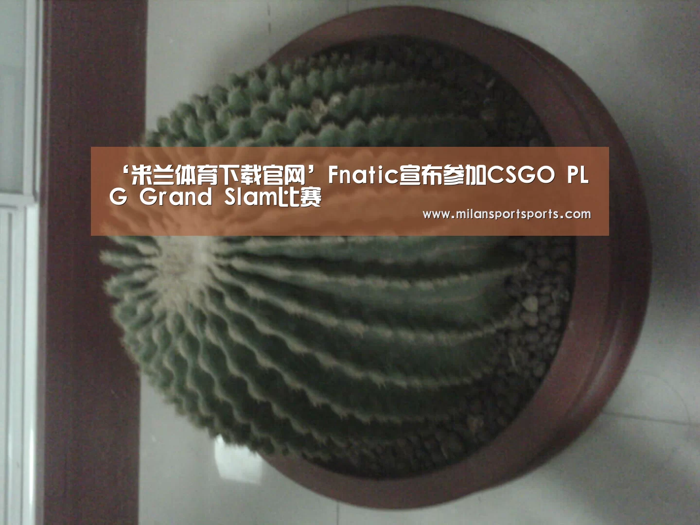 ‘米兰体育下载官网’Fnatic宣布参加CSGO PLG Grand Slam比赛(图1) 米兰体育下载